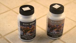 Fish Mox and Fish Pen Fish Antibiotics [upl. by Ahsir]