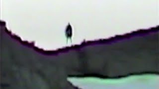 Marble Mountain Bigfoot quotOriginal Videoquot [upl. by Merriott689]