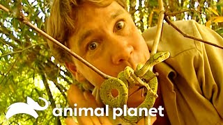 Top 10 Best Moments on The Crocodile Hunter [upl. by Ambur]