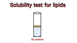 Solubility Test for Lipids Knowledge Academy [upl. by Aletta]