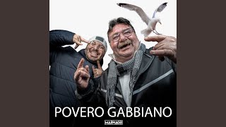 Povero Gabbiano [upl. by Oiligriv692]