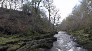 Bolton Abbey The Strid the most dangerous stretch of river in the world [upl. by Ielarol]