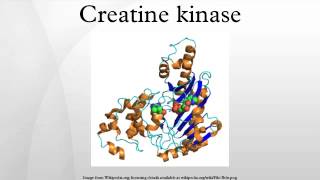 Creatine kinase [upl. by Egnalos]