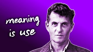 Wittgenstein on Meaning [upl. by Banquer]