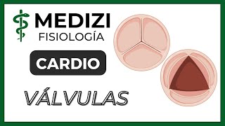 Clase 18 Fisiología Cardíaca 3  Función de las válvulas IGdoctorpaiva [upl. by Feldt]