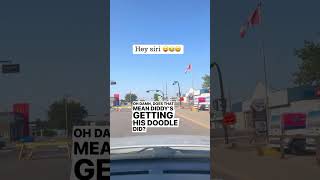 Hey siri goodvibesonly saskatchewan canada Send comedy heysiri siri comedyvideos souperkire [upl. by Crespi]