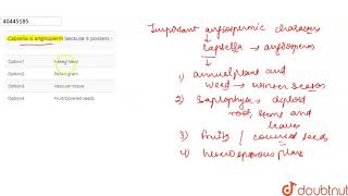 Capsella is angiosperm because it possess [upl. by Stroud516]