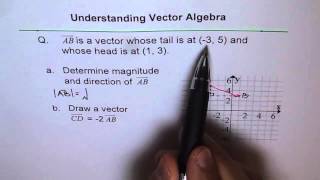 Find Magnitude and Sketch Scalar Multiple Q1 [upl. by Wurst764]