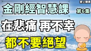 聽書金刚经第六章修精进心：存粹地欣赏每一个人、每一处景 有聲書知識學習經典聽書讀書 [upl. by Merras]