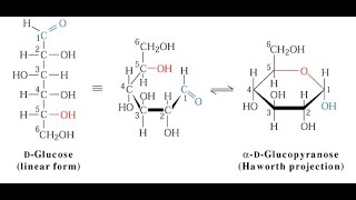 A Cyclization of monosaccharides [upl. by Lulu]