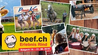 Impressionen Beefch in Balgach  Schweiz 2016 Lange Version [upl. by Schwartz656]