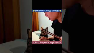 Cat eating fun 😆 cat laugh funny comedy tamil foryou animals shorts [upl. by Anawyt836]