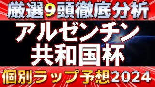 【アルゼンチン共和国杯2024】クロミナンス初重賞なるか。素質適性を分析 [upl. by Toole]