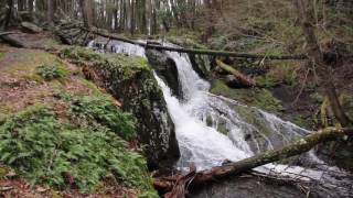 New Jersey Waterfalls Tillman Falls [upl. by Yatnoj421]