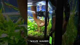 Aquarium Wave Maker Setup [upl. by Aikemehs]