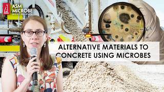 Using Bacteria and Fungi to Create Alternative Materials to Concrete [upl. by Dlaner]