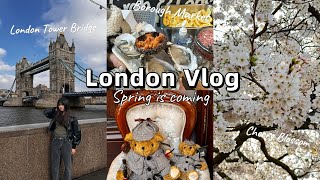 London Vlog Spring Blossom Borough Market Deer Tower Bridge  Buckingham Palace伦敦游记 [upl. by Eekaz]