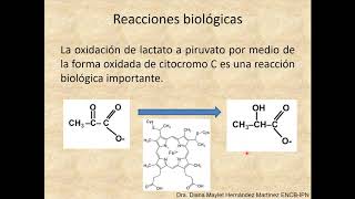 bateria ion litio y reacciones biológicas [upl. by Witcher]