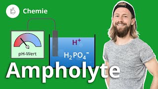 Ampholyte Das musst du wissen – Chemie  Duden Learnattack [upl. by Neirda]