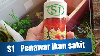 SKN S1 Penawar ikan sakitWhite spotsFungal dan lain  lain [upl. by Yenffit148]