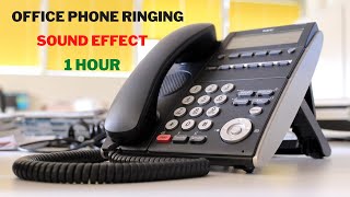 Office Phone Ringtone Sound Effect🎧 Office Phone Ringing Sound Effect 1 Hour [upl. by Yeliah280]