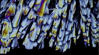 Timelapse of Crystals Growing [upl. by Lina]