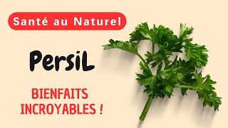 Pourquoi le persil estil lherbe secrète pour une santé optimale et un bienêtre inégalé [upl. by Ecinom346]