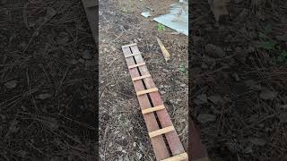 Beginner DIY Chicken Coop Ladder from scraps Shorts [upl. by Llezo902]