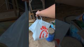 ChickfilA For The Chickens backyardchickens [upl. by Akener350]