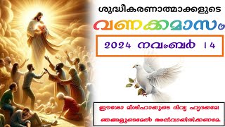 ശുദ്ധീകരണാത്മാക്കളുടെ വണക്കമാസം Souls in Purgatory November 14 [upl. by Adnorat91]