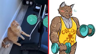 When your CAT hits the GYM 😂 Cat Memes [upl. by Eichman]