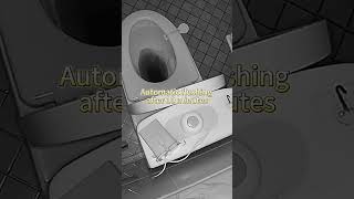 Infrared Sensor Flush It is very easy to have a smart toilet [upl. by Mcintosh153]