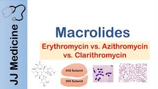 Macrolides Azithromycin Erythromycin  Bacterial Targets Mechanism of Action Adverse Effects [upl. by Hegarty]