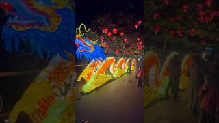 Part 05 Dublin Zoo wild Lights 2024 shortsvideo ireland [upl. by Roberson]