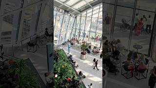 Sky Garden 🪴logs skygarden london uk shorts minivlog towerbridge travel explore ytshorts [upl. by Alyn]