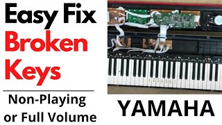 Yamaha keyboard Repair  Easy fix for keys not working  or being full volume  piano [upl. by Notyad]