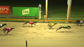 Rockhampton23102024Race5 [upl. by Laen]