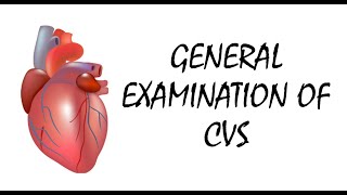 General Examination of Cardiovascular System  CVS [upl. by Mussman591]