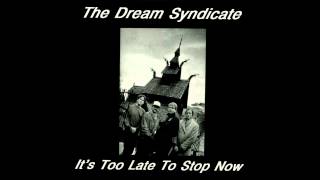 The Dream Syndicate  Cinnamon Girl Neil Young Cover [upl. by Blanche]