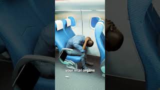 How To Survive A Plane Crash 😨 [upl. by Lihka]