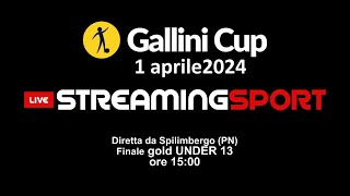 GALLINI CUP finale Gold Under 13 Spilimbergo PN [upl. by Dlaregztif]