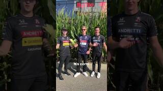 Andretti IndyCar drivers singing about corn 🌽 [upl. by Papageno]