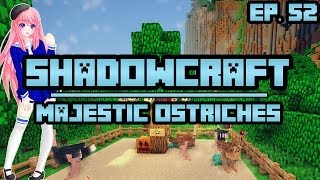 Majestic Ostriches  ShadowCraft  Ep 52 [upl. by Husha159]