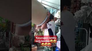 cilokboy vidiolucuterbaru kuliner baksoviral [upl. by Nyrhtac]