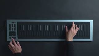 Seaboard RISE 2 and Equator2 A match made in musical heaven [upl. by Oniger]