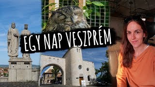 1 NAP VESZPRÉMBEN  városnézés állatkert  vlog [upl. by Godwin34]