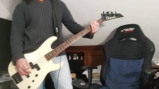 Helmet  Unsung bass cover [upl. by Minna]