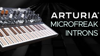 Arturia MicroFreak Presets for Ambient IDM Dub and Melodic Techno Sound Demo No Talking [upl. by Greenes]