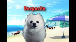 Despacito  gabe cover [upl. by Nitsirt]