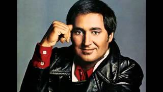 Neil Sedaka  quotBad And Beautifulquot 1976 [upl. by Amak]